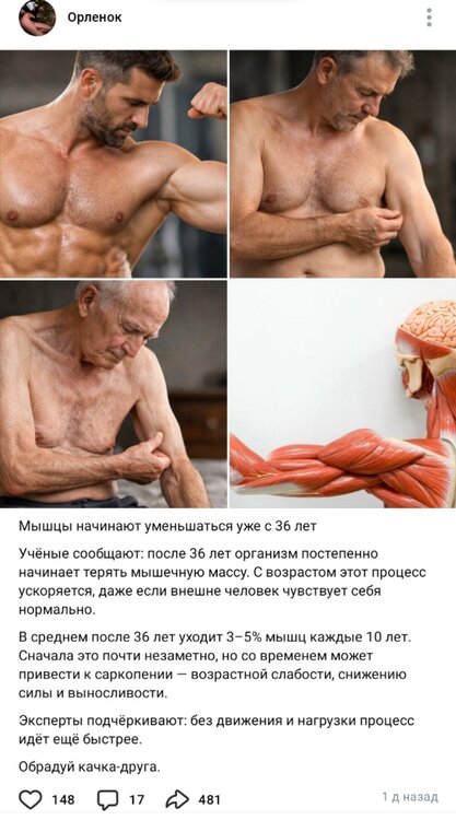 Y_mLPuDiukdg7BiK-i2T_-p1qAZWQFajzzINJsyJs4iDUNA3M7mNvFFiII4dvuYL35KjtQUkwTHB6ELeIhU9fdqg.jpg